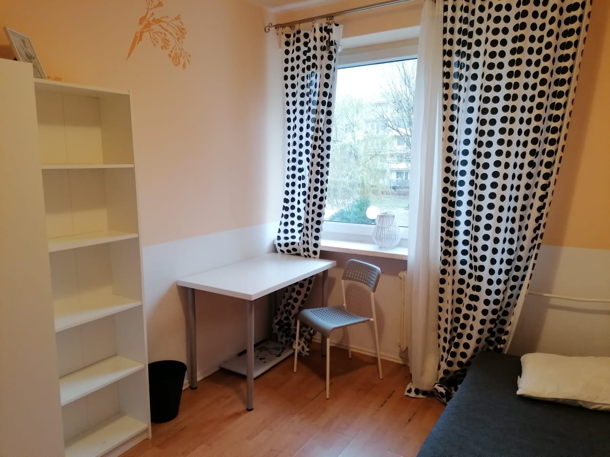 161382866_3760598520720297_6493266793031818569_n